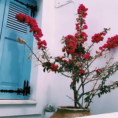 Amfitriti Serifos Apartman Livádi