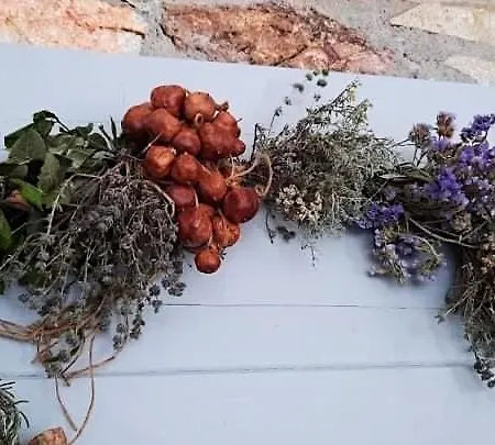 Amfitriti Serifos Διαμέρισμα *