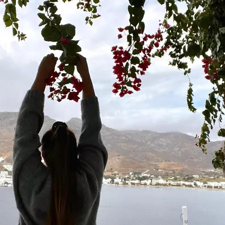 Amfitriti Serifos *