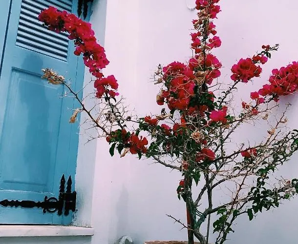 Amfitriti Serifos Apartamento Livadi (Serifos)